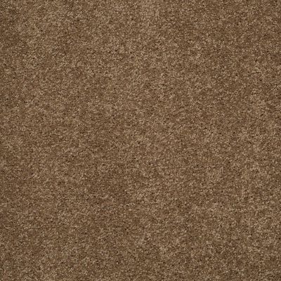 Shaw Floors Ultratouch Anso Exalted Beauty I Bonsai 00324_748Z7