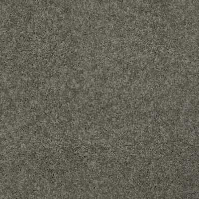 Shaw Floors Ultratouch Anso Exalted Beauty I Grey Flannel 00501_748Z7