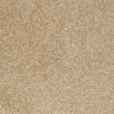 Shaw Floors Home Essentials Fha Mills Mansion Leather 00700_753A5