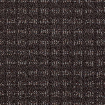 Philadelphia Commercial Core Elements Broadloom Testimony Fallen Timber W2710_758W2