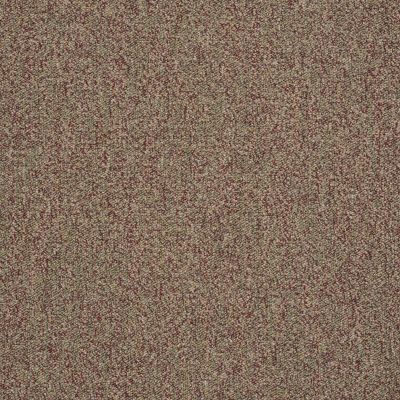 Philadelphia Commercial Core Elements Broadloom Acumen II 26 Stlk Cymbal W4220_758W5