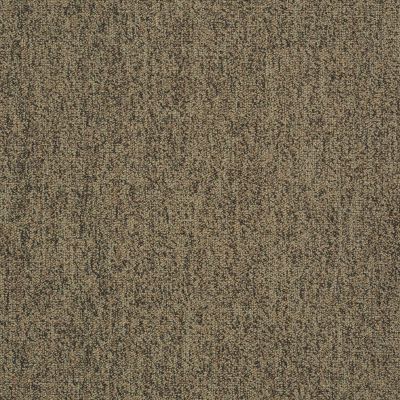 Philadelphia Commercial Core Elements Broadloom Acumen II 28 Stlk Baked Apple W4214_758W7