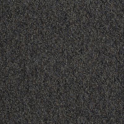 Philadelphia Commercial Core Elements Broadloom Bonne Terre II 26 Tuxedo W8511_758W8