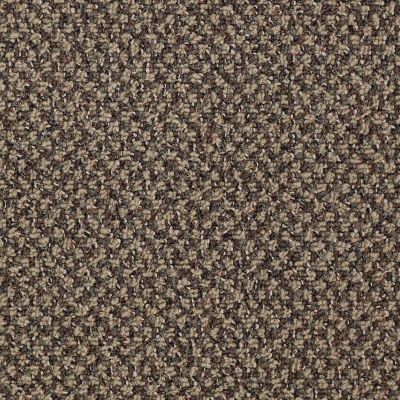 Philadelphia Commercial Core Elements Broadloom Exchange Inv Trail Mix W3711_759J3