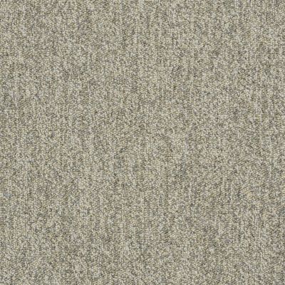Philadelphia Commercial Core Elements Broadloom Acumen II 26 Inv Shark Fin W4511_759J4