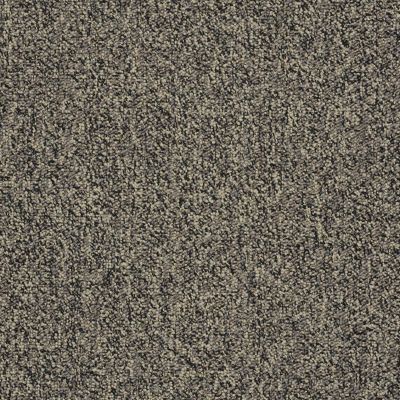 Philadelphia Commercial Core Elements Broadloom Acumen II 26 Inv Hot Ashes W4518_759J4