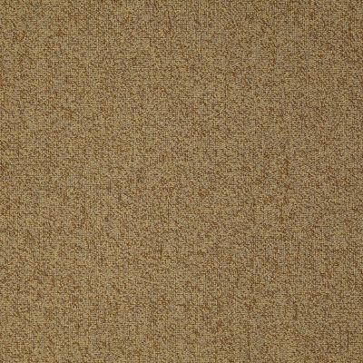 Philadelphia Commercial Core Elements Broadloom Acumen II 28 Inv Beeswax W4230_759J6