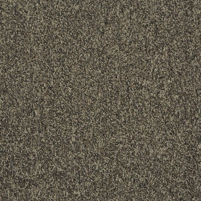 Philadelphia Commercial Core Elements Broadloom Acumen II 28 Inv Old Platinum W4521_759J6