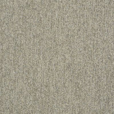 Philadelphia Commercial Core Elements Broadloom Acumen II 28 Stlk Inv Shark Fin W4511_759J7