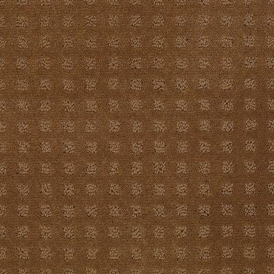 Shaw Floors Toll Brothers HS/Tuftex Tb Nottingham Pebble Creek 00702_780TB