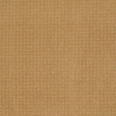 Shaw Floors Toll Brothers HS/Tuftex Tb Westminster Wheat 00201_781TB
