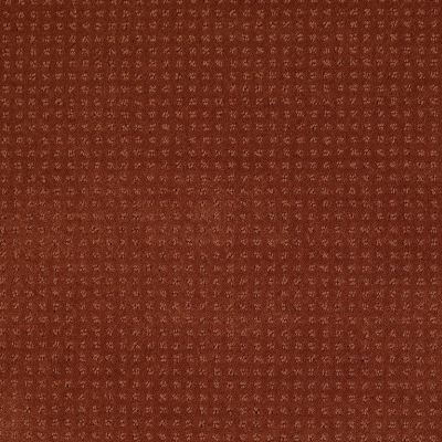 Shaw Floors Toll Brothers HS/Tuftex Tb Westminster Aged Copper 00600_781TB