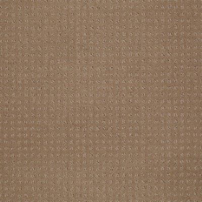 Shaw Floors Toll Brothers HS/Tuftex Tb Westminster Perfect Beige 00703_781TB