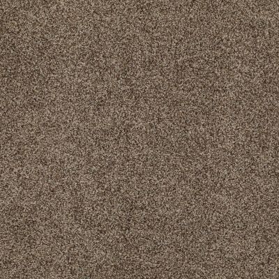 Anderson Tuftex SFA Four Seasons Malted Crunch 00758_786SF