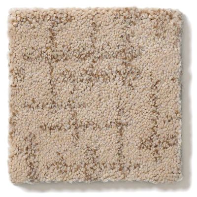 Shop Anderson Tuftex Cortona Dusty Rose 00623_790DF Carpet ...