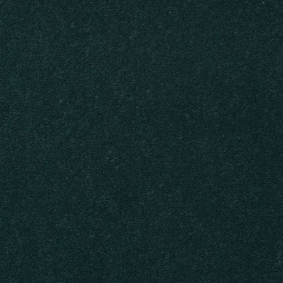 Philadelphia Commercial Core Elements Broadloom Afire II 30 Holly S4343_7A0A8