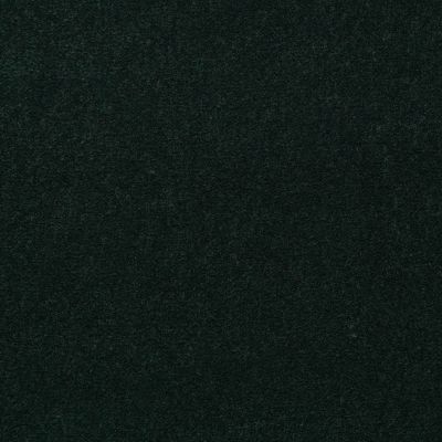 Philadelphia Commercial Core Elements Broadloom Afire II 30 Mistletoe S4366_7A0A8