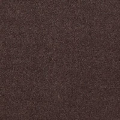 Philadelphia Commercial Core Elements Broadloom Afire II 30 Luggage S4726_7A0A8