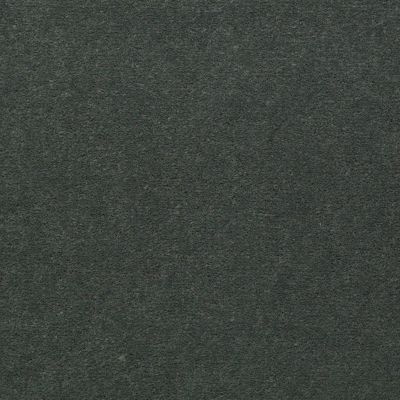 Philadelphia Commercial Core Elements Broadloom Afire II 36 Green Hills S4340_7A0A9