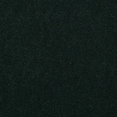 Philadelphia Commercial Core Elements Broadloom Afire II 36 Mistletoe S4366_7A0A9