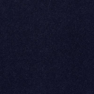 Philadelphia Commercial Core Elements Broadloom Afire II 36 Admiral S4465_7A0A9