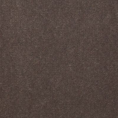 Philadelphia Commercial Core Elements Broadloom Afire II 36 Pewter S4595_7A0A9