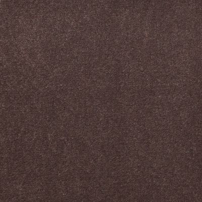 Philadelphia Commercial Core Elements Broadloom Afire II 36 Luggage S4726_7A0A9
