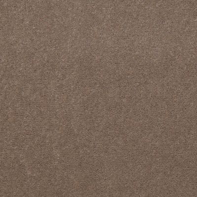 Philadelphia Commercial Core Elements Broadloom Afire II 36 Longhorn S4742_7A0A9