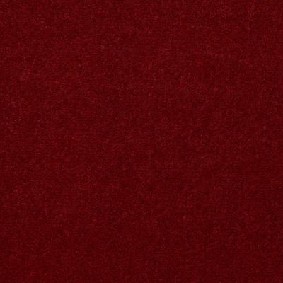 Philadelphia Commercial Core Elements Broadloom Afire II 36 Petal S4822_7A0A9