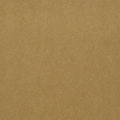 Philadelphia Commercial Core Elements Broadloom Afire II 30 Inv Muted Bronze S4243_7A0G9