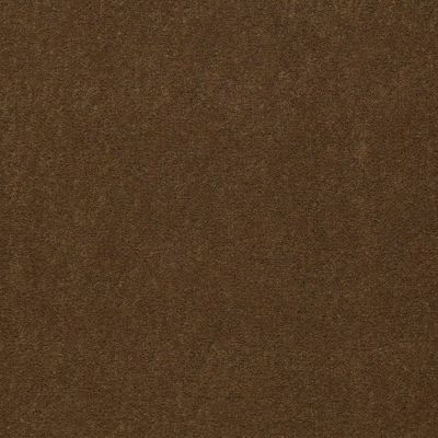 Philadelphia Commercial Core Elements Broadloom Afire II 30 Inv Acorn S4713_7A0G9