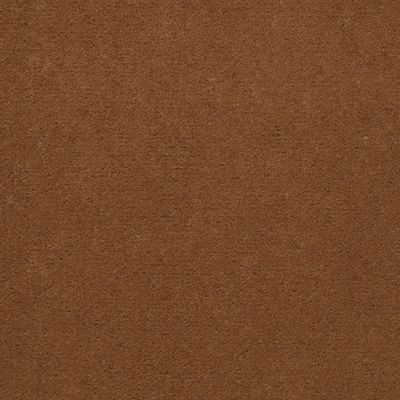 Philadelphia Commercial Core Elements Broadloom Afire II 36 Inv Brassy S4291_7A0H0