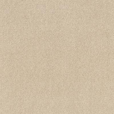 Shaw Floors Ultratouch Anso Miraculous Meadows Winter White 00100_7A8K0
