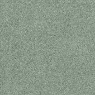 Shaw Floors Ultratouch Anso Miraculous Meadows Daydream 00360_7A8K0