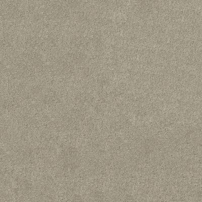 Shaw Floors Ultratouch Anso Miraculous Meadows City Scape 00561_7A8K0