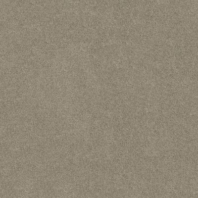 Shaw Floors Ultratouch Anso Miraculous Meadows Silver Shadow 00563_7A8K0