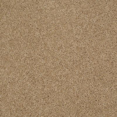 Shaw Floors Ultratouch Anso Miraculous Meadows Natural Wood 00701_7A8K0