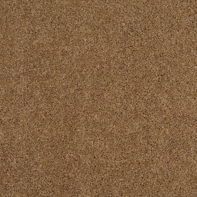 Shaw Floors Ultratouch Anso Miraculous Meadows Leather Bound 00702_7A8K0