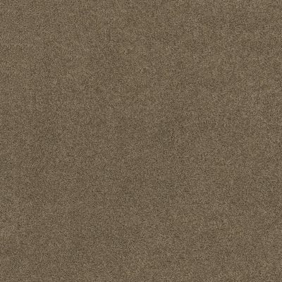 Shaw Floors Ultratouch Anso Miraculous Meadows Townhouse 00704_7A8K0