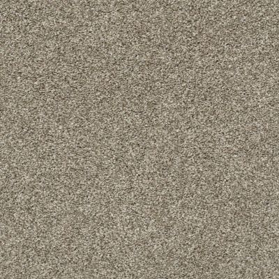 Shaw Floors Carpetland Value Enveloped I Clay 00701_7B7Q2