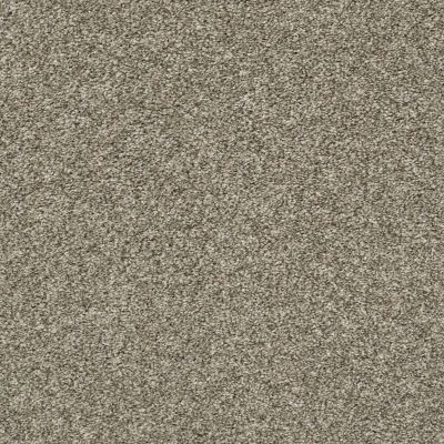 Shaw Floors Carpetland Value Enveloped II Clay 00701_7B7Q3