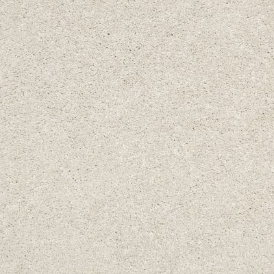 Shaw Floors Carpets Plus Value From Now On I Candle Glow 00122_7B7Q6