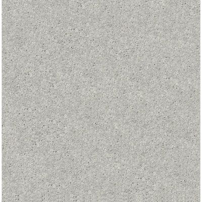 Shaw Floors Carpets Plus Value From Now On I Shadow 00522_7B7Q6
