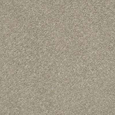 Shaw Floors Carpets Plus Value From Now On I Sandstone 00723_7B7Q6
