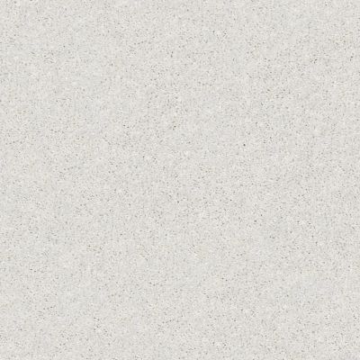 Shaw Floors Carpetland Value From Now On II Dolphin 00520_7B7Q7