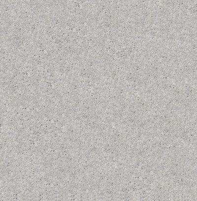 Shaw Floors Carpetland Value From Now On II Shadow 00522_7B7Q7