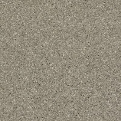 Shaw Floors Carpetland Value From Now On II Rustic Taupe 00722_7B7Q7