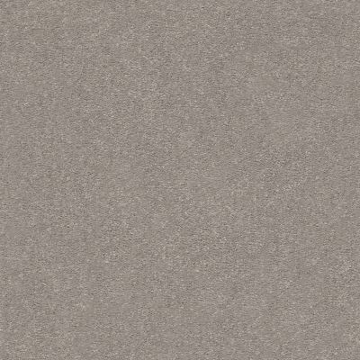 Shaw Floors Carpets Plus Value Melange I Polished Stone 103S_7B7S1