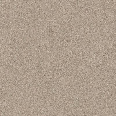 Shaw Floors Carpets Plus Value Melange I Chateau 121T_7B7S1