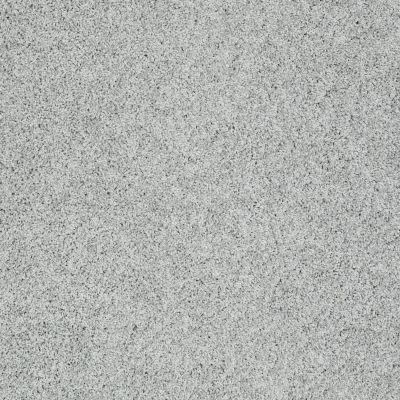Shaw Floors Anso Foundation Destination Mare I Pewter 00551_7D0Q0